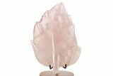 Beautiful, Polished Rose Quartz Leaf with Stand - Madagascar #335215-1
